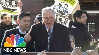 Chuck Schumer Slams President Trump’s Travel Ban At NYC Rally | NBC News