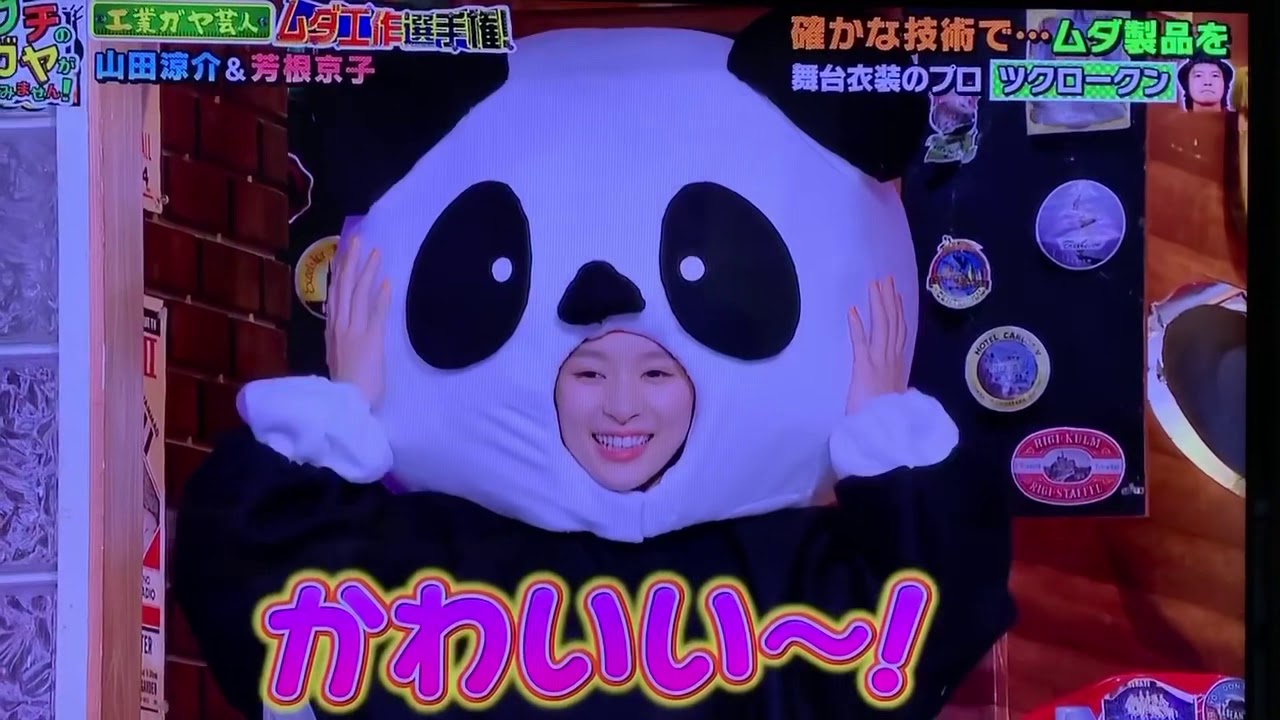 芳根京子 パンダ