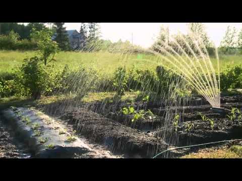 Video: Kastelun Maatalouden Ominaisuudet