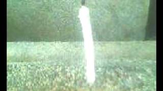 MOV0015A.avi