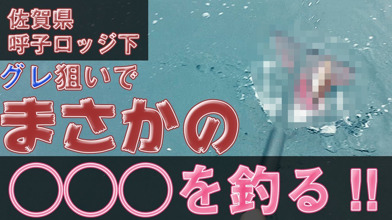佐賀県呼子ロッジ下 グレ狙いでまさかの Youtube