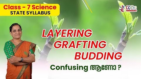CLASS 7 | BASIC SCIENCE | CHAPTER -1 REAPING GOLD FROM THE SOIL | LAYERING | GRAFTING | BUDDING