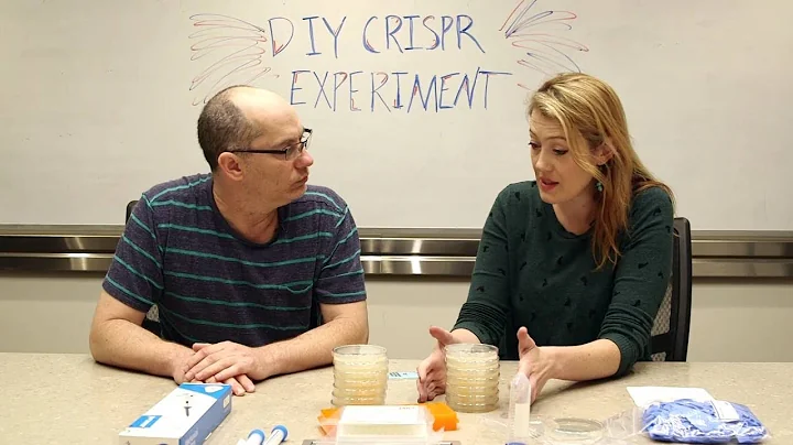 Watch KQED Hack DNA With a DIY Kit - DayDayNews