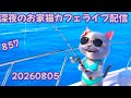 深夜のお家猫カフェライブ配信 ８５８