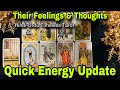 Hindiurdu  their feelings  thoughts  quick energy update  timeless tarot 