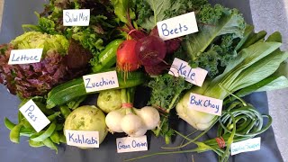 Happy 5th Week of CSA! Whatβs in the Box