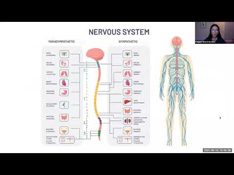 Deep Breathing and Working with Trauma