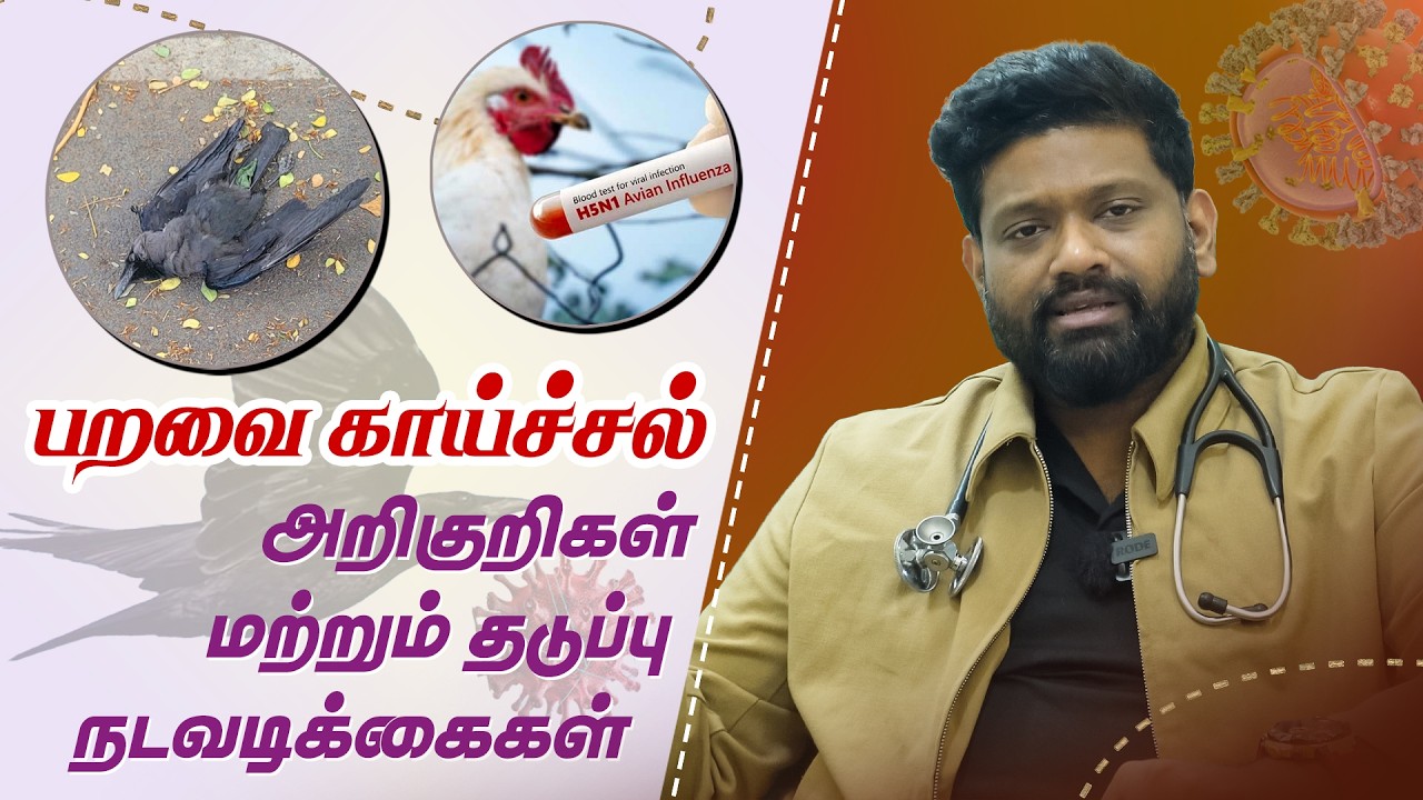 பறவை காய்ச்சல் | யாரெல்லாம் பாதுக்காப்பா இருக்கணும் | பெரிய ஆபத்தை ஏற்படுதுமா? | Dr Sabarinath