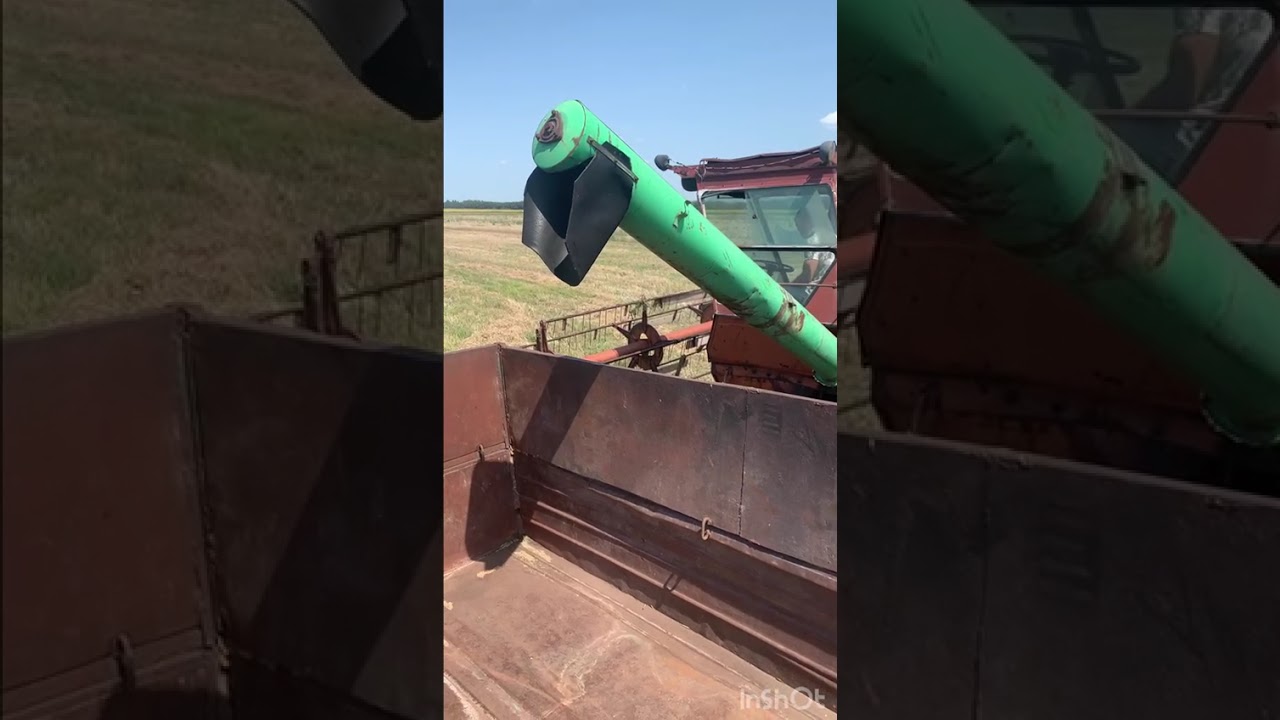 Ты запомни сынок золотые слова : Хлеб всему голова, Хлеб всему Голова