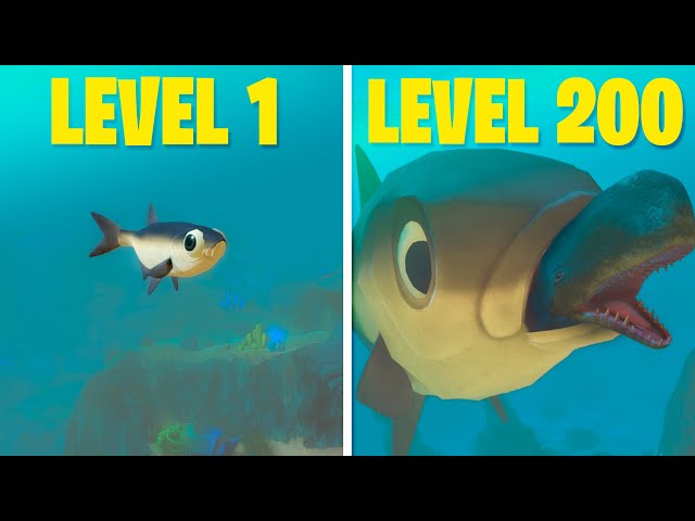 Feed And Grow: Fish – Download+Tutorial – Ninja Oficial