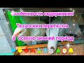 Перепелятник: Осень-Зима #перепела #перепелки #перепел #техасскийперепел #зима #содержание #осень