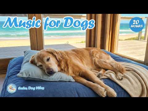 🐶🎵 20 Hours of Dog Healing Music | Calm music to relieve stress