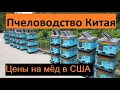 Сколько зарабатывает пчеловод в Китае / Оптовая цена на мёд в США