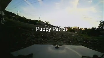 scx24 Project Recon Puppy Patrol
