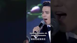 Jasmine茉莉花合唱 duet #dimash