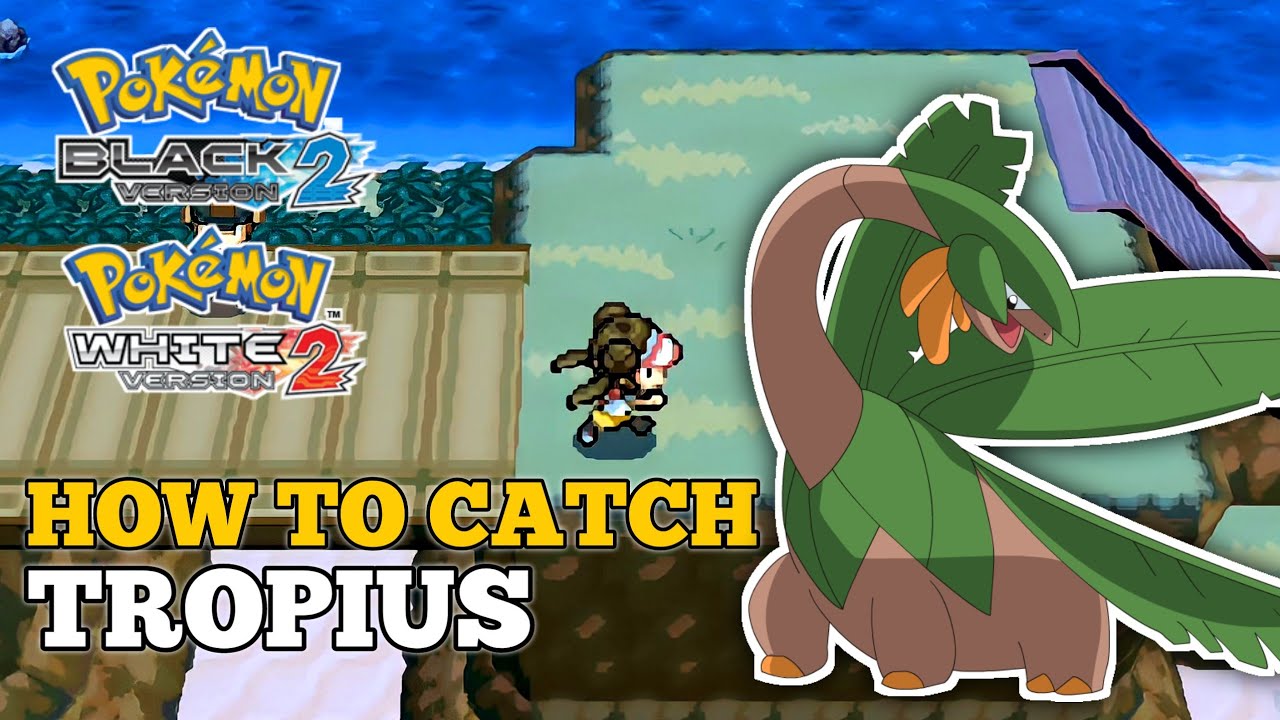 How To Catch Tropius In Pokemon Black 2 and White 2 Tropius Location YouTube