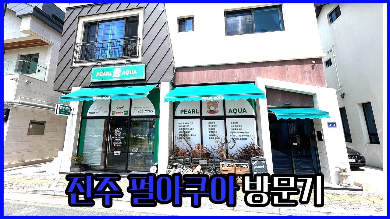 SG패밀리샵 방문기: 진주 펄아쿠아 수족관을 가다.