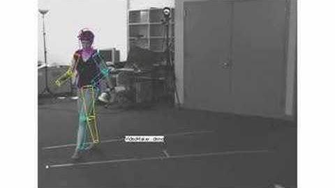 The tracking results obtained by APF on the Brown sequence