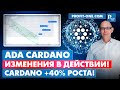 ADA Cardano нашел ДНО | Прогноз ADA Cardano январь 2022