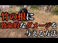 【必見!】竹の根に致命的なダメージを与える方法