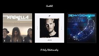 A Holy Relationship - Avicii vs Krewella vs Gary Go || CastleR