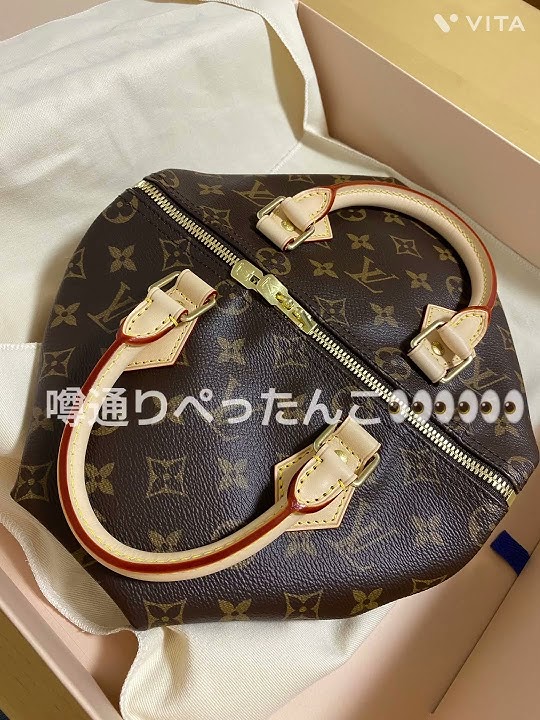 Authentic Louis VUITTON GAMEON SPEEDY 25 LIMITED EDITION GAME ON