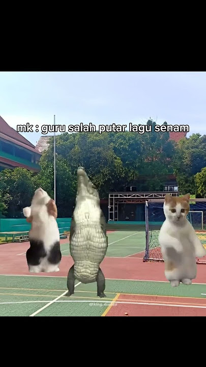 Phonk x mentari pagi wkwk😆 #senamsehat #sekolah #fyp #4upage #subscribe #like #support