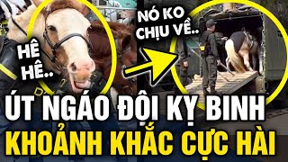 Chú ngựa 'ÚT NGÁO' trong đoàn kỵ binh bất ngờ GÂY SỐT vì những biểu cảm CỰC HÀI | Tin 3 Phút