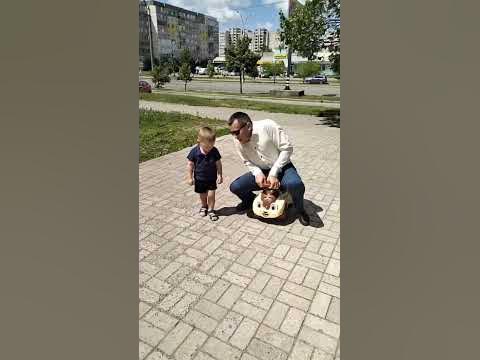 гонки наскар - YouTube