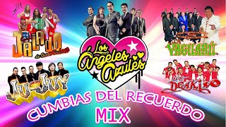 Grupo Jalado, Grupo Ju Juy, Los Angeles Azules, Yaguaru, Los Deakino  -  Cumbias Mix 2018