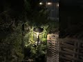 Warm glow, solar powered, and instantly makes walkways and landscaping look expensive