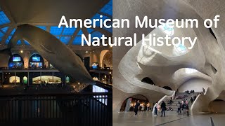뉴욕 자연사 박물관 / American Museum of Natural History