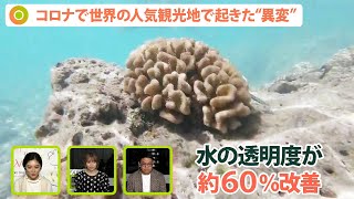 ハワイの海が綺麗に？コロナで世界の人気観光地で起きた“異変”　達人に聞く！地球も人も元気になる旅プラン【Update the world #14-①】（2022年2月25日配信）