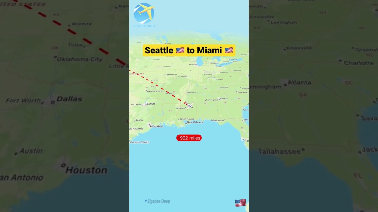 Travelling Seattle to Miami United States #usa #seattle #washington #miami #florida #shorts