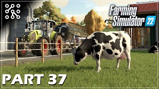 Farma hovězí - hnojení močůvkou #37 | Farming Simulator 22 | Lets play | Česky