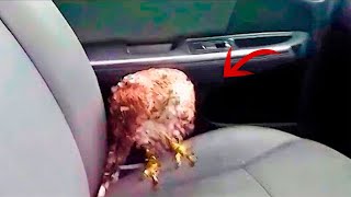 Taksówkarz nie mógł uwierzyć, kiedy zobaczył w swoim samochodzie dziwnego klienta!