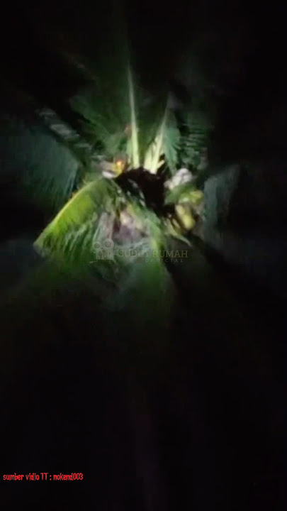 SOSOK SUANGGI DI KEPUNG WARGA😱😱#trending #shorts #horror #hantu #setan #crepy #penampakan