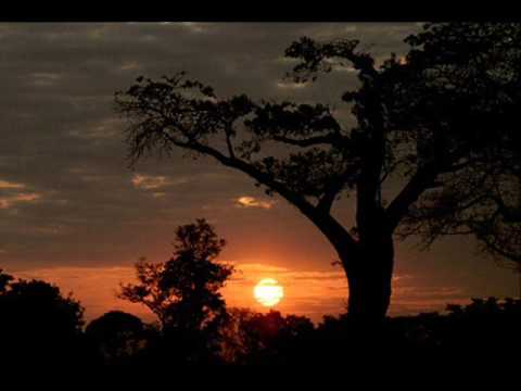 Enya - Storms In Africa