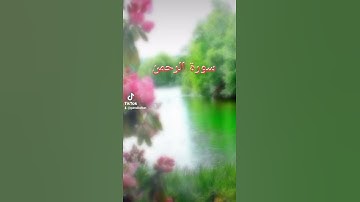 #ٱلشَّمۡسُ وَٱلۡقَمَرُ بِحُسۡبَانࣲ_  وَٱلنَّجۡمُ وَٱلشَّجَرُ یَسۡجُدَانِ)[سورة الرحمن]#Gamal Belkan