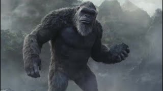 Kong First Fight With Her Opponent Godzilla X Kong The New Empire 2024 Movie #thedn