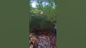 احترم القرآن لثواني فقط وصلي على النبي المصطفى #القرآن_الكريم #nature #اكسبلور #سورة_البقرة #