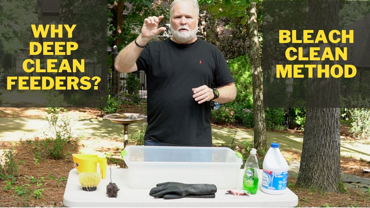 Bird Feeder Deep Cleaning YouTube