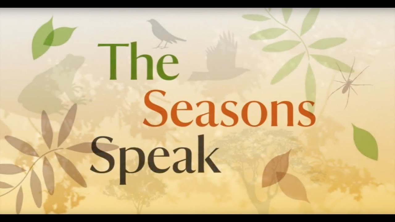 The Seasons Speak - National Trust Clumber Park
