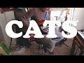 CATS | (weird song)
