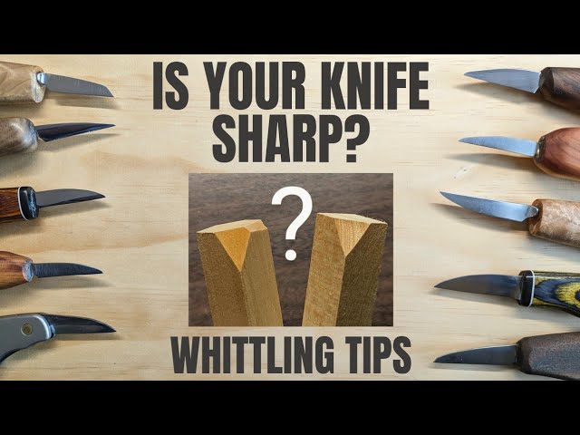 How to Choose Your First Whittling Knife - Complete Beginner Whittling  Lesson 