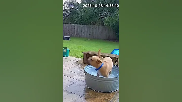 Watch the video about CCTV