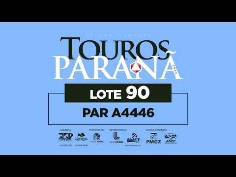 LOTE 90 PAR A4446