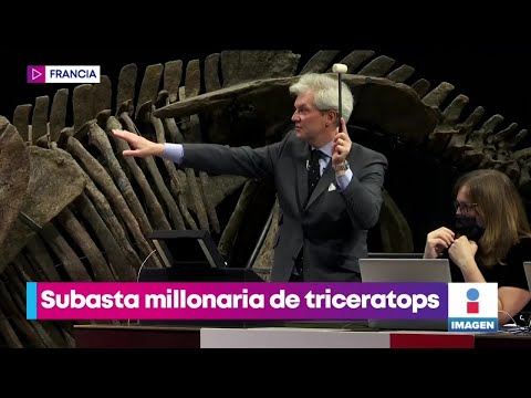 Subastan los restos