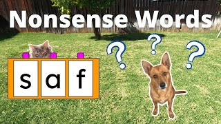 Professor Ginger and Axle and Nonsense Words  Blend and Read Nonsense Words