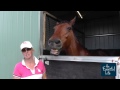 Aneventfullifecomau alex townsend and her horses